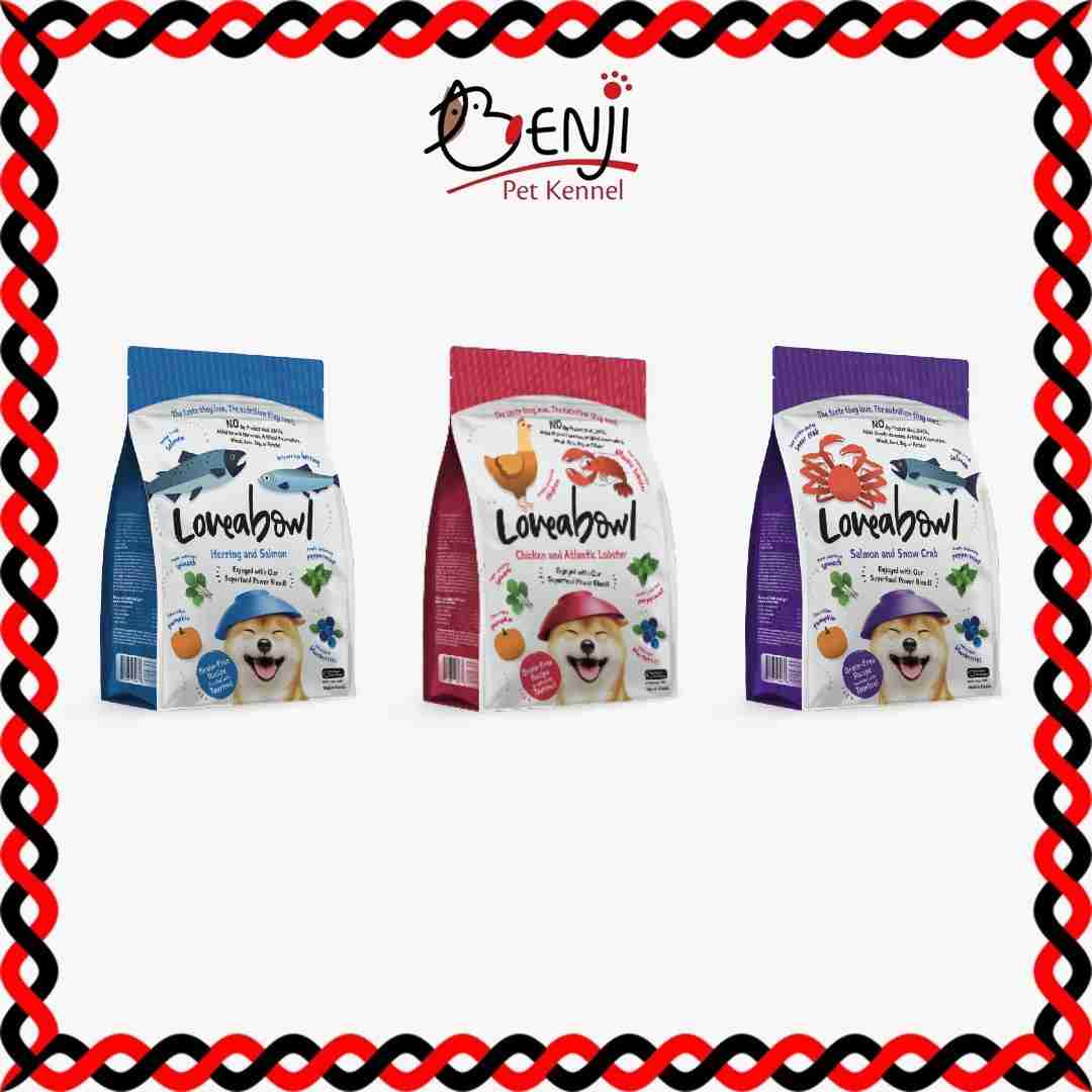 Best Pet Groomer